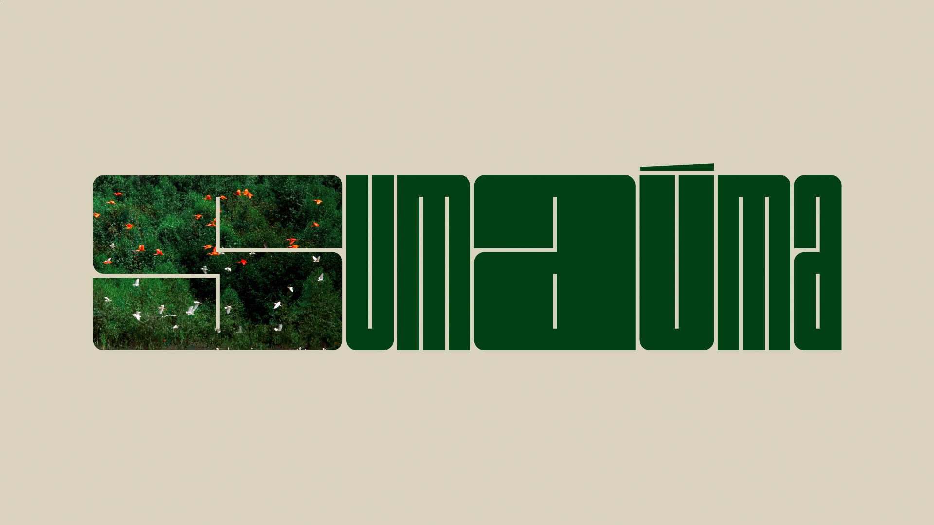 Sumaúma